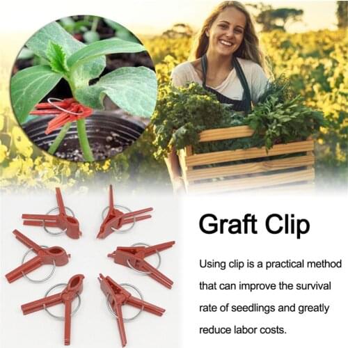 50 Pcs Plant Grafting Clip Plastic Gardening Tool for Cucumber Eggplant Watermelon, Round Mouth Flat Mouth Anti-fall Clamp