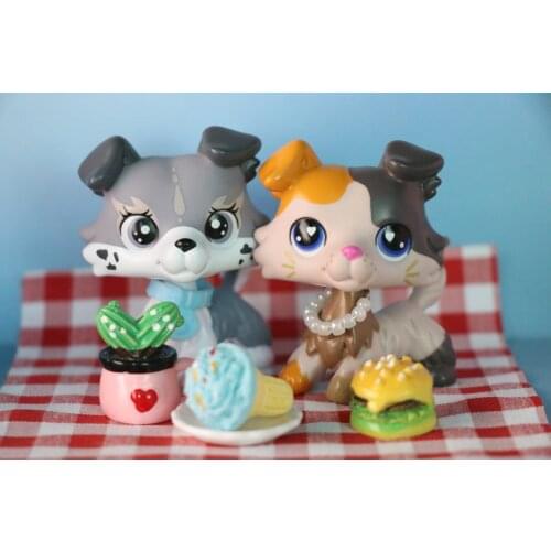 Custom Cat wapiti Elk Shorthair cat Brown Spot Face Vanilla Collie Blonde Different Eyes with Accessories