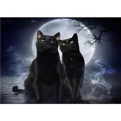 5D DIY Diamond Painting Moon black cat Pictures Full Square Round 3D Diamond Embroidery Crystal Mosaic Home Decoration Gift DF98
