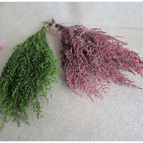 30g Green/Pink Preserved Gnaphalium affine D. Don Flower For Bouquet Wreath Garland Making Material Accessory Craft DIY