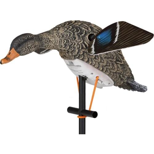 Lucky Duck Hunting Decoys