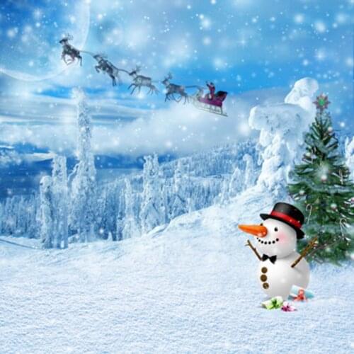 Snow Winter Photography Backdrops fondos de estudio fotografia 150cm*200cm Christmas Background for Children