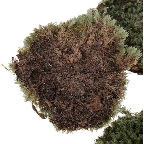 1/35 Sand Table Armor Military Building Lichen Moss Ground Grass Lawn for Diorama
