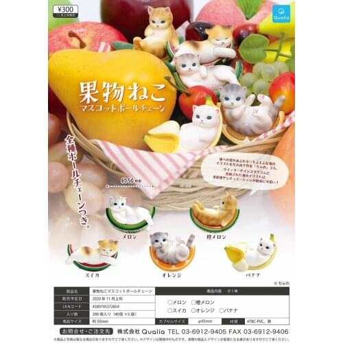 Japan QUALIA Gashapon Capsule Toys Figure Cute Animal Table Ornaments Decoration Model Lying In The Fruit Cats Doll