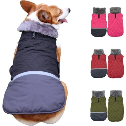 Winter Big Fur Collar Dog Clothes New Pet Jacket Double-sided Dog Clothes Worn Waterproof Pet Coat