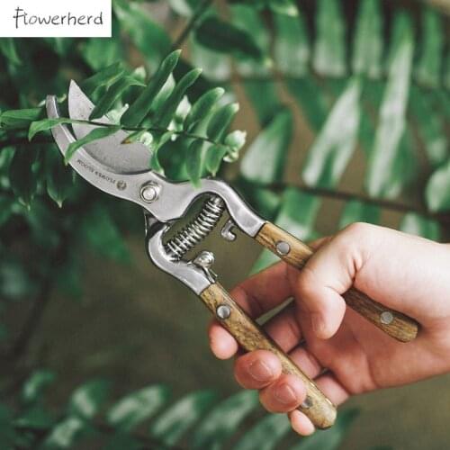 Fraxinus Mandshurica Pruning Scissors Gardening Scissors Garden Tools Fruit Branch Scissors Kitchen Scissor Kitchen Accessories