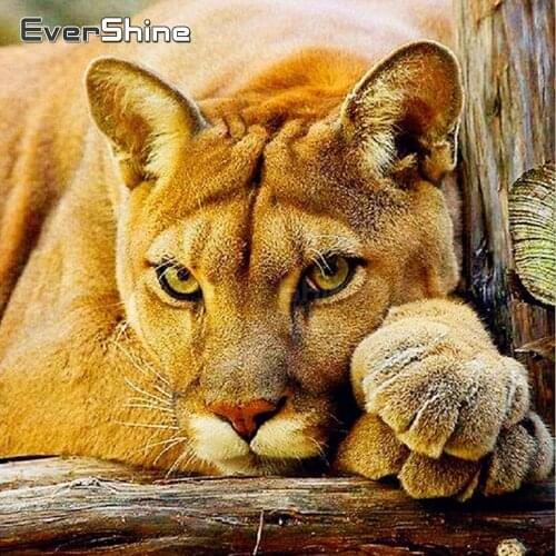 EverShine 5D Diamond Mosaic Animals DIY Diamond Painting Full Drill Square Cheetah Diamond Embroidery Full Display Rhinestones