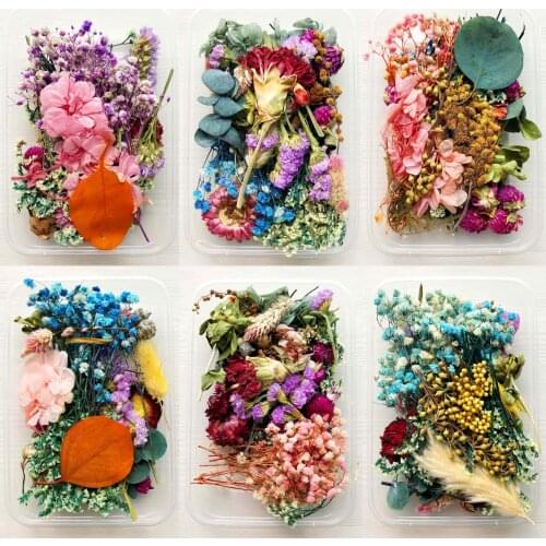 1 Pcs Real Dried Flower Dry Plants For Aromatherapy Candle Epoxy Resin Pendant Necklace Jewelry Making Craft DIY Accessories