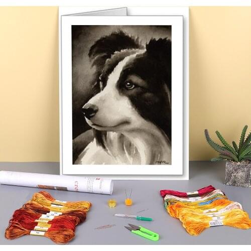 Animal Border Collie Pre-Printed 11CT Cross Stitch Embroidery Kit DMC Threads Craft Handicraft Painting Knitting Different