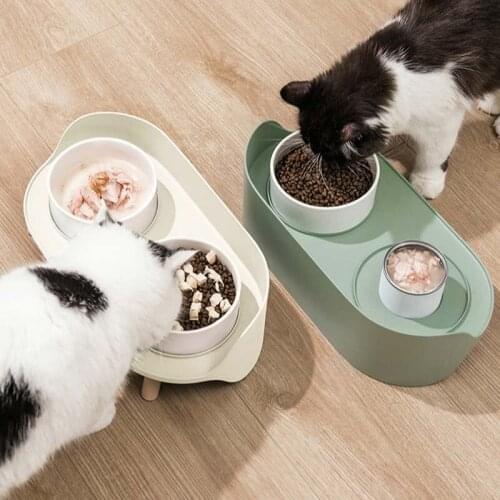 Elevated Dog and Cat Bowls - Raised Pet Dish - Ceramic Food and Water Bowls with No-Skid Silicone Mat, for Small Dogs Cats