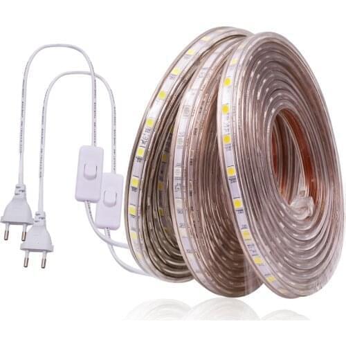 220V LED Strip Flexible Light SMD 5050 60leds/m Waterproof Led Tape Ribbon White Warm White LED Light Lamp With Switch EU Plug