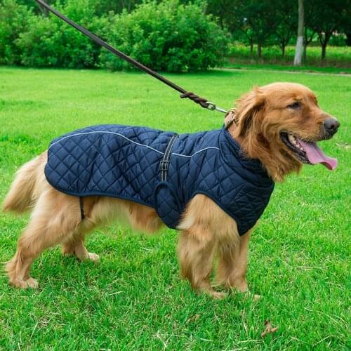 Dog Clothes Plus Velvet Cotton-padded Clothes for Autumn and Winter Warm and Comfortable Big Dog Pet Clothes