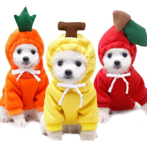 Yorkshire Terrier Clothes Winter Clothes For Small Dogs Winter Ropa De Mascota Pet Hoodie Sweatshirt For Dog Hoodie Chihuahua