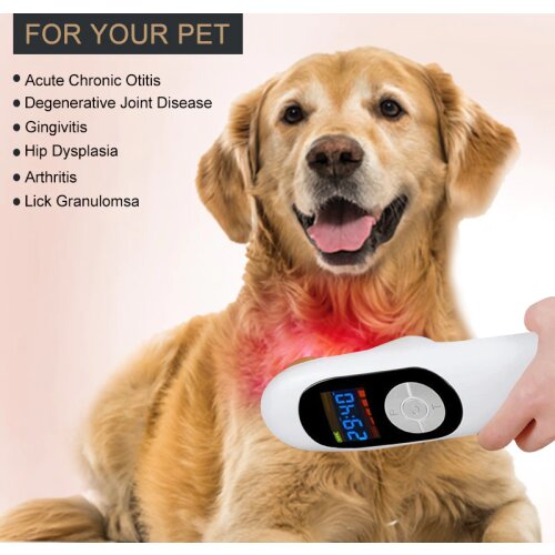 LASPOT Cold Laser Therapy for Animals Pain Relief lllt Low Level Lazer Dogs Pain Reliever for Dogs Physiotherapy Equipment