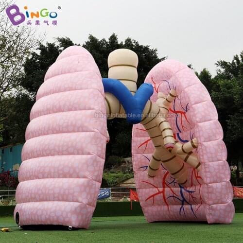 Customized Inflatable Human Organs Giant Lungs Copy Model For Advertising 4.6x3x4m