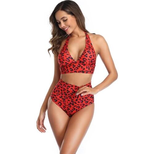 Sexy Bikini Set Swimsuit High Cut Leopard Print Bikinis Women Bathing Suit Swimwear Female Summer Brazilian Beachwear Biquini