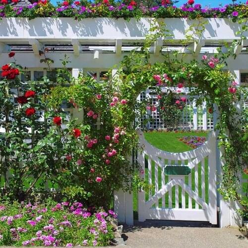 Vinyl Photography Background Computed Printed Flower Door Children Backdrops for Photo Studio CM-6959