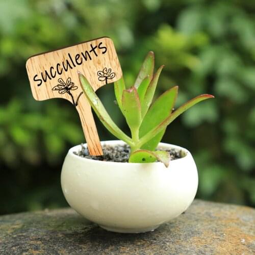 50pcs Wooden T-Shape Plant Labels Garden Seedlings Sign Tags Marker Sticks for Succulent Herbs Flowers Tray Seed Potted