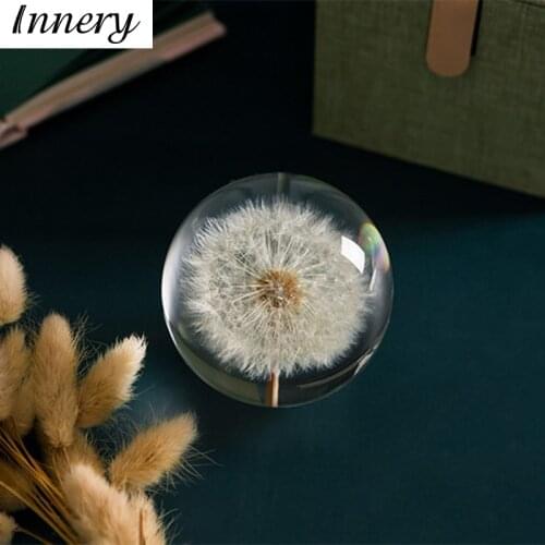 70/80/90mm Real Dandelion Crystal Glass Resin Lens Ball Natural Plants Specimen Feng Shui Flowers Christmas Love Gift Home Decor