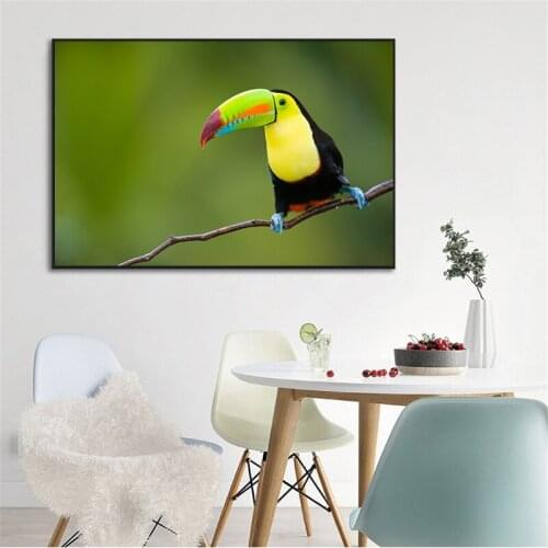 Toucan Bird In Rainforest Animal Art Canvas Poster Painting Wall Picture Print Modern Kids Room Nursery Home Bedroom Decoration