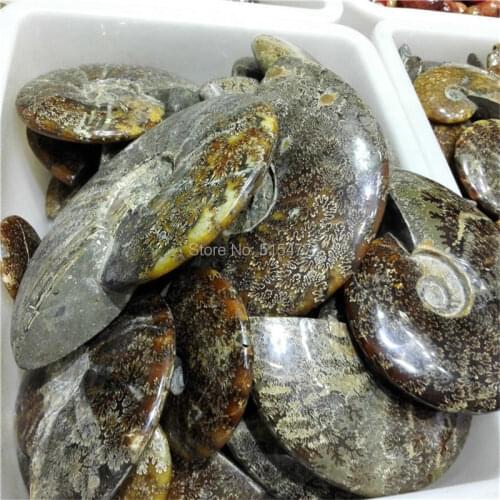 11.02lb Wholesales NATURAL fossil ammonite flash high quality MADAGASCAR