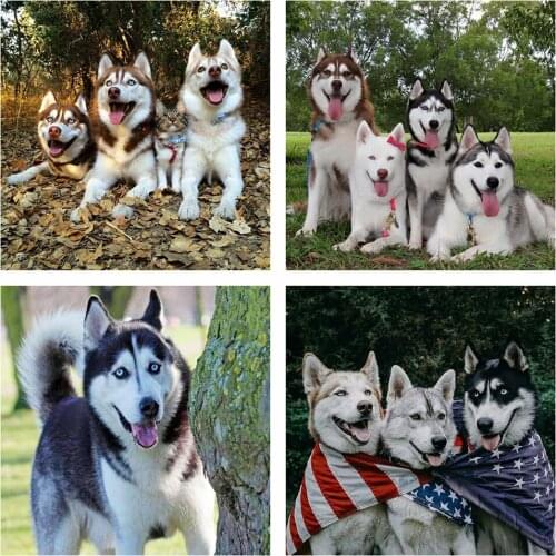 Evershine Diamond Painting Dog 5D DIY Picture Of Rhinestones Embroidery Cross Stitch Animals Craft Kit Wall Decoration