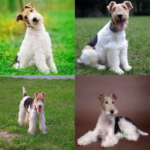 5D Full Square /round Diamond Embroidery Dog Pattern Diamond Painting Bristle fox terrier Christmas Mosaic Decor Painting FZ498
