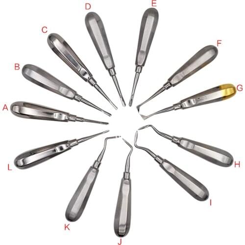 12pcs Stainless Steel Dental Elevator as Dentist Tools Stright Curved Head for Dental Clinic Lab Equipment