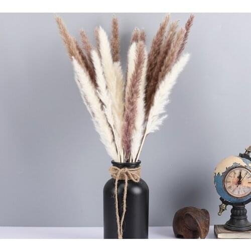 Dekoration Reed Natural Dried Small Pampas Grass Rabbit Tail Phragmites Artificial Plants Wedding Flower Bunch Home Decor