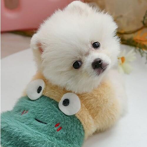 Korean Version of The Puppy Autumn and Winter Thick Pullover Plush Bottoming Shirt Cartoon Warm Clothes Pet Lovers Suit