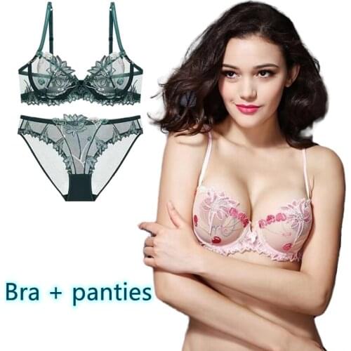 Bra + Panties Suit Underwear Panties Set Ultra-thin Lace Mesh Underwear Dragon Bra Sexy Bikini Suit Summer Beach Bikini Woman