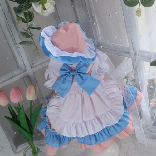 Autumn Spring Dog Dress Chihuahua Pomeranian Shih Tzu Maltese Yorkshire Poodle Schnauzer Bichon Dog Clothes Pet Clothing Dresses