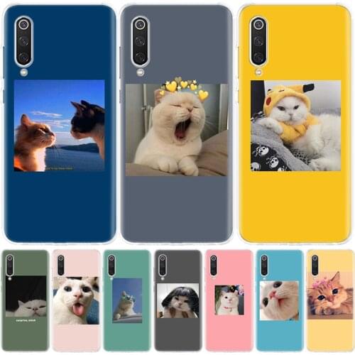 Animal cat cute funny Phone Case for Xiaomi Redmi Note 10 9 9S 8T 8 7 8A 7 7A 6 6A 9A 9C S2 K20 K30 Pro Fashion Cover Coque