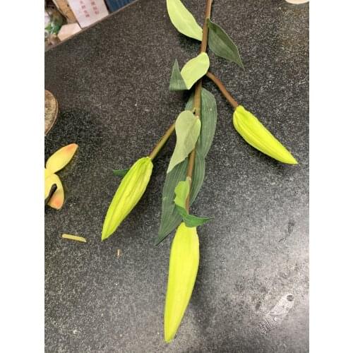 100 pcs long stem lily buds+50 pcs callas