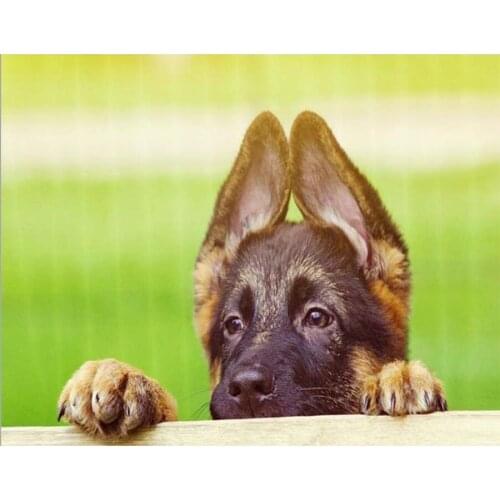 Diamond Embroidery Shy German Shepherd Needleworks 5D DIY Diamond Painting Full Square Rhinestone Mosaic Home Decor C469