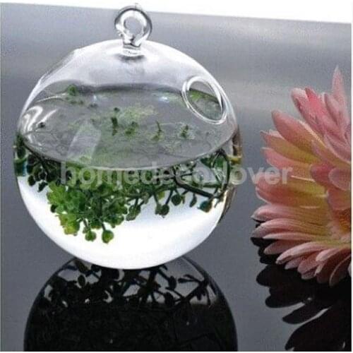 Ball Hanging Glass Hydroponic Flowers Planter Vase Terrarium Container 12cm