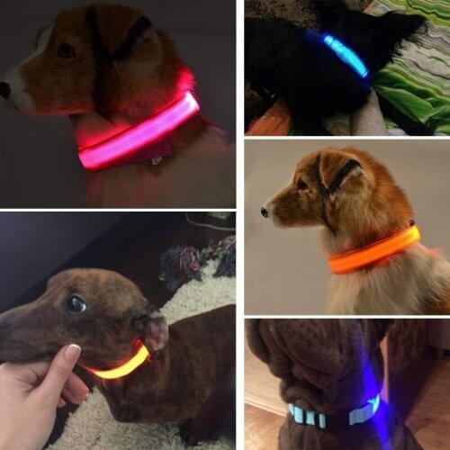 LED Dog Collar USB Rechargeable Nylon Webbing Adjustable Glowing Pet Safety Collar 7 Colors 5 Sizes Light Up Collar for Your Dog