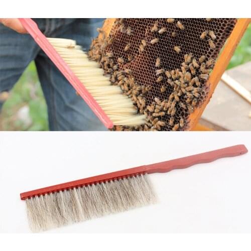 1PCS Beekeeping tools single row bee brush sweep hand planting plastic handle apiculture equipment supplies