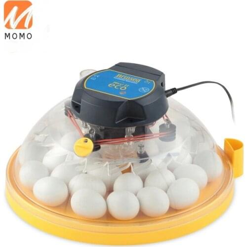 Highly Durable Chicken Setter at Reliable Price