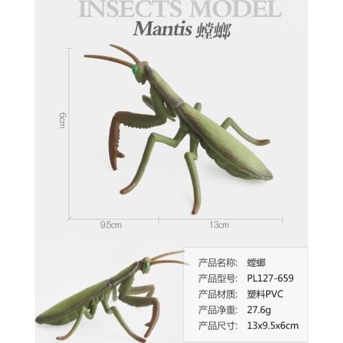 Foyunde Insect Figures