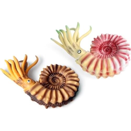 Sealife Oceanarium Wild Animals Mollusk Nautilus Marine Organism Figure Kids Educational Toys For Children