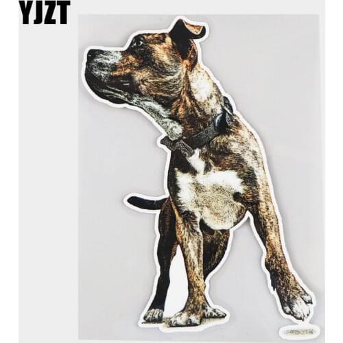 YJZT 13.1×19CM Hand Drawn Colored Bulldog Fashion Body Decoration Car Window Bumper Stickers 21A-0014