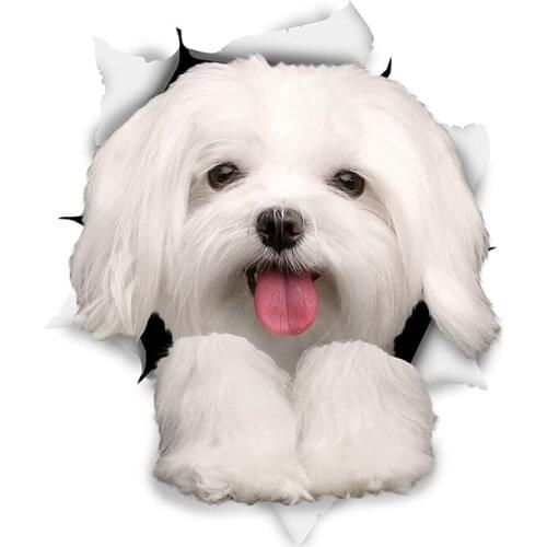 12cm*9cm Cute Maltese Dog Car Sticker Decoration Cover Scratch Decal Laptop Truck Motorcycle Auto Accessories PVC 1 Pcs