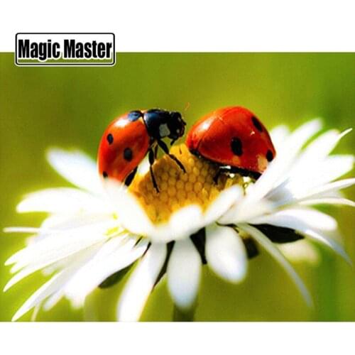 NEW Diamond Mosaic Sale Flower Ladybug 5d Diamond Painting Full Square Rhinestones Picture Diamond Embroidery Cross Stitch Art