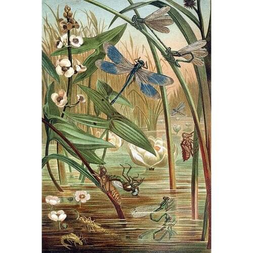 Full Diy Diamond Painting kit Reed and dragonfly Cross Stitch Diamond Embroidery Picture of rhinestones Mosaic home decorZP-1831