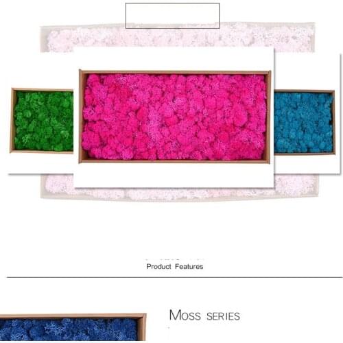 Preserved fresh flower artificial dried flower wholesale roses 500g large box moss plant wall protection flowers