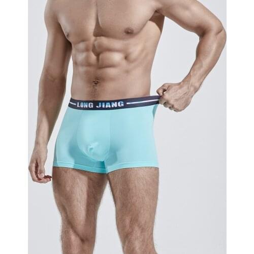 Mens Underwear Ice Silk Boxer Shorts Breathable Boxers Men U Bulge Pouch Trunks Solid ropa interior hombre Males Soft Underpants