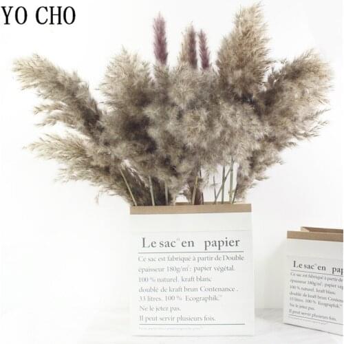 11 Pcs Natural Dried Flowers Pampas Grass Reed Bulrush Plumes Phragmites Communis Bouquet for Floral Arrangements Home Decor