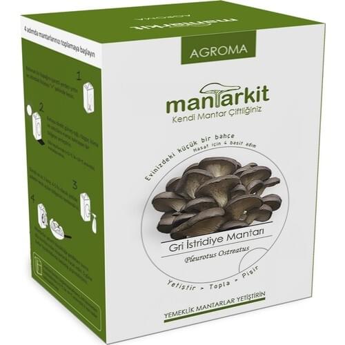 Evde Mantar Clothes And Footwear For Dogs