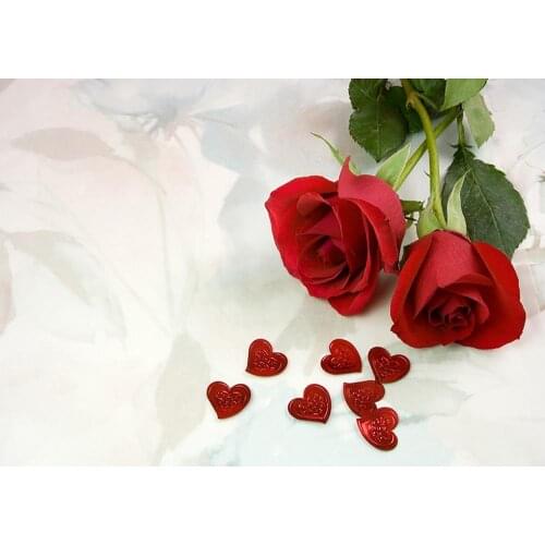 Beautiful Roses Valentines Day holiday photo background photography background